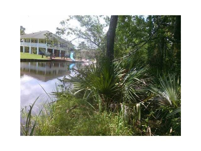 10041 Bancroft Street - Photo 1