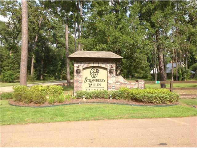 Camarosa Drive - Photo 1