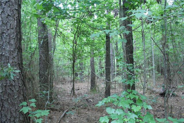 29560 Hwy 40 Highway - Photo 1