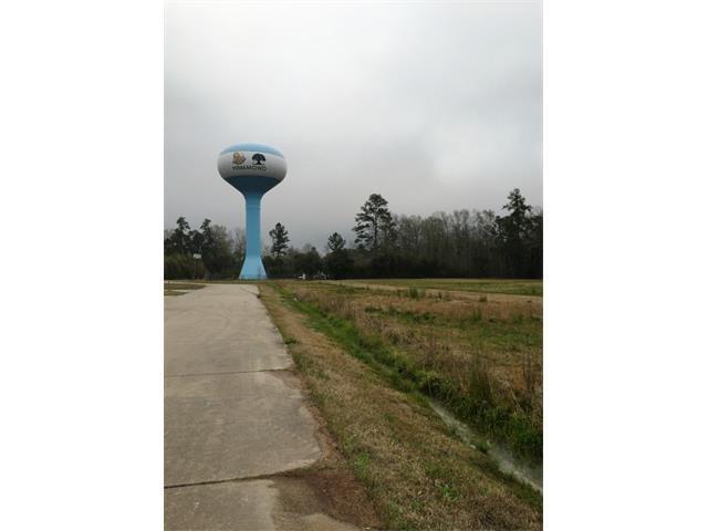 Hwy 190 Other - Photo 1