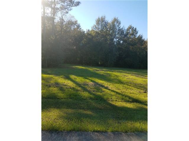 47025 Nekia Street - Photo 1