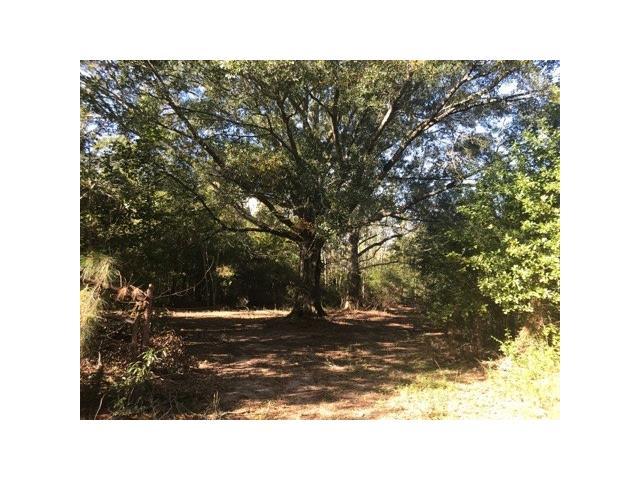 Simmons Road - Photo 1
