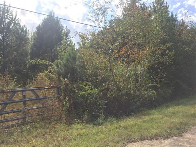 136 Guzzardo Lane - Photo 1