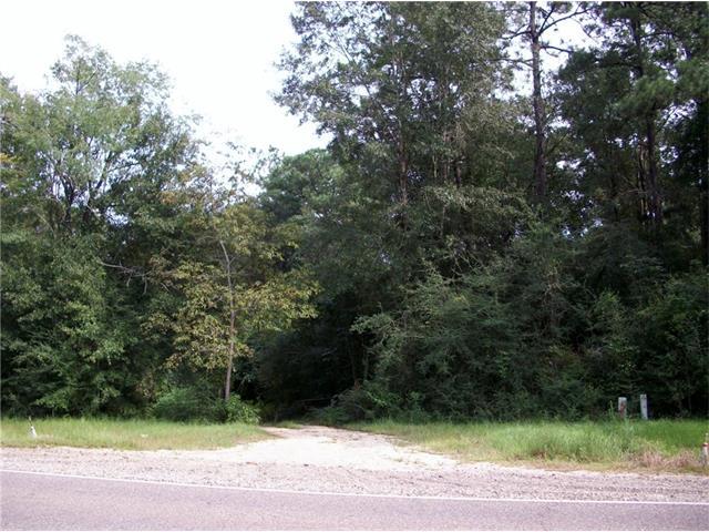 25 Highway - Photo 1