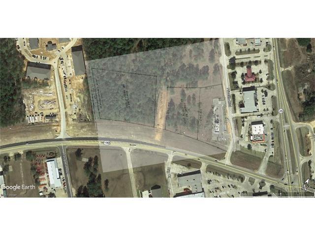 Hwy 190 Highway - Photo 1