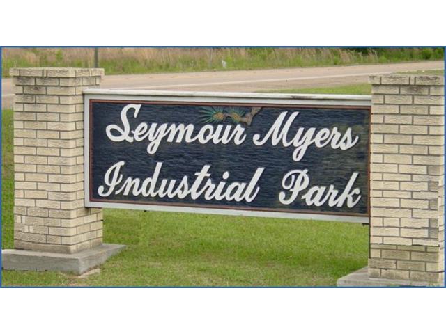 13407 Seymour Myers Boulevard - Photo 1