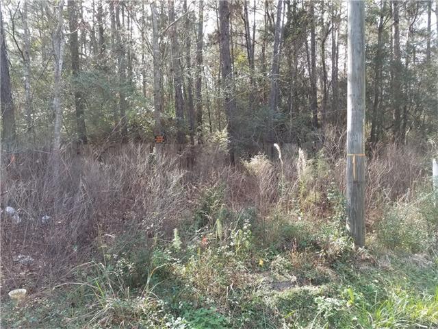 Potomac Street - Photo 1