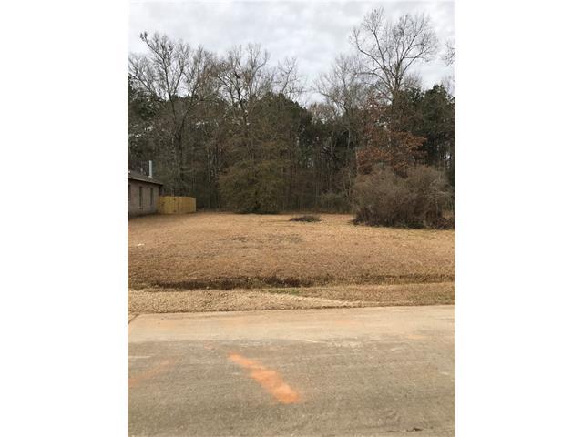 23 Village Oaks Boulevard - Photo 1
