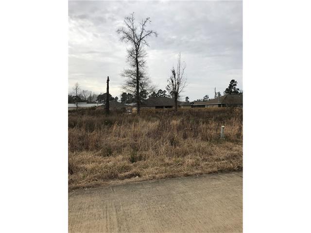 36 Village Oaks Boulevard - Photo 1