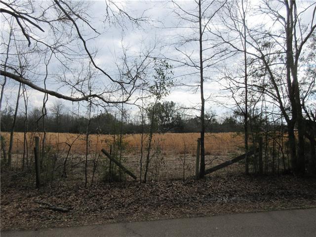 Polo Road - Photo 1