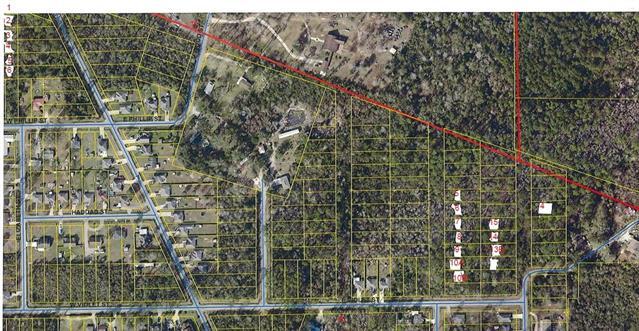 Lot 2 Tammany Forest - Photo 1