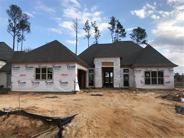 736 Night Heron Lane - Photo 1