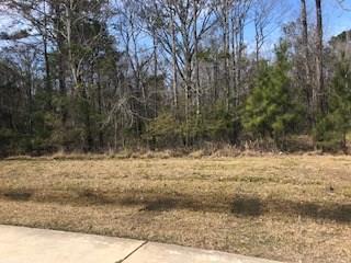 N Verona Drive - Photo 1