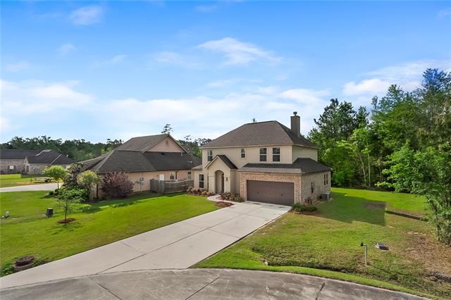28460 Spring Clover Street - Photo 1