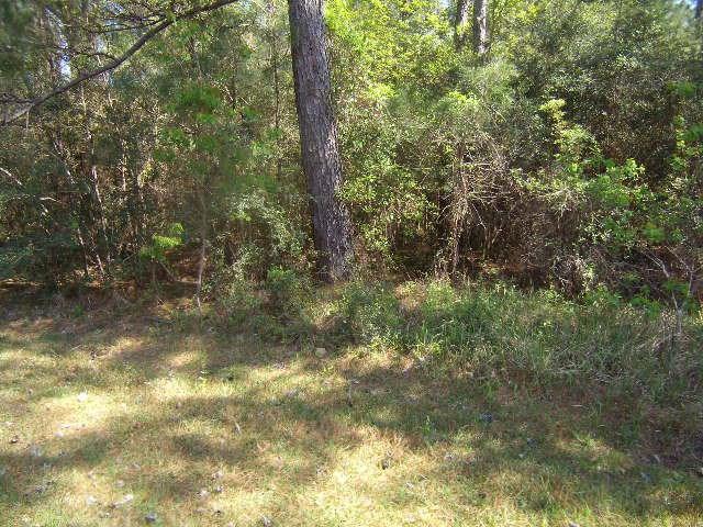 LOTS 5-6 Willow Drive - Photo 1