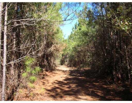 Press Sharp & Isabel Swamp Road - Photo 1