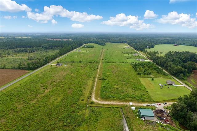 Lot 64 Sam Mizell Road - Photo 1