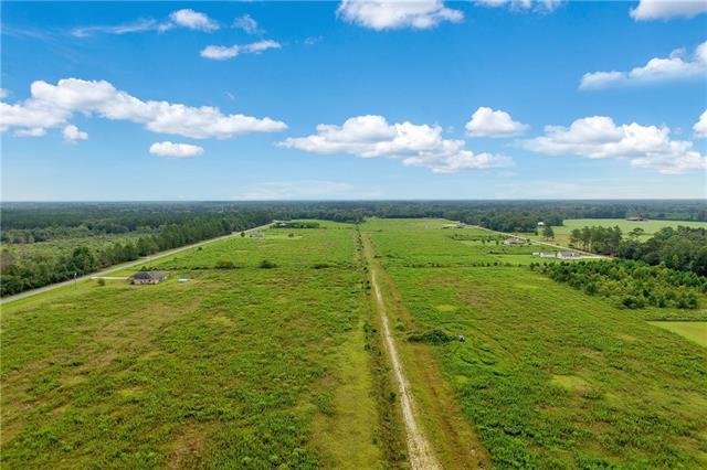57389 Sam Mizell Road - Photo 1