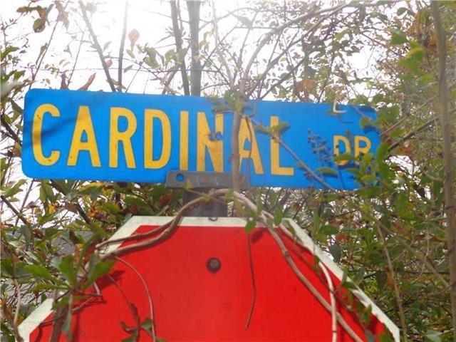Cardinal Road - Photo 1