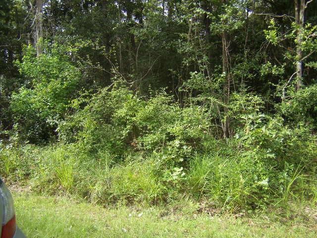 Ruth Road - Photo 1