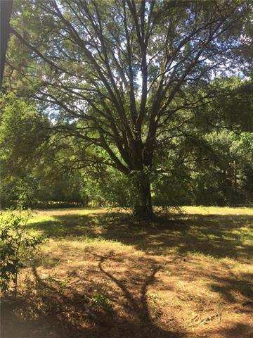 Burr Martin Road - Photo 1