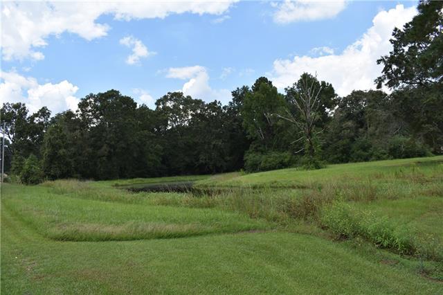 Gleber Drive - Photo 1