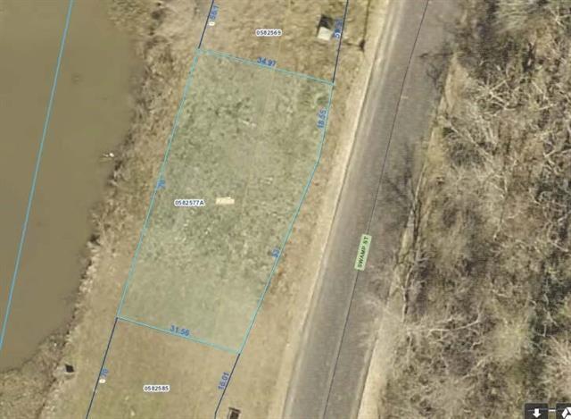 LOT 46 Swamp Drive - Photo 1