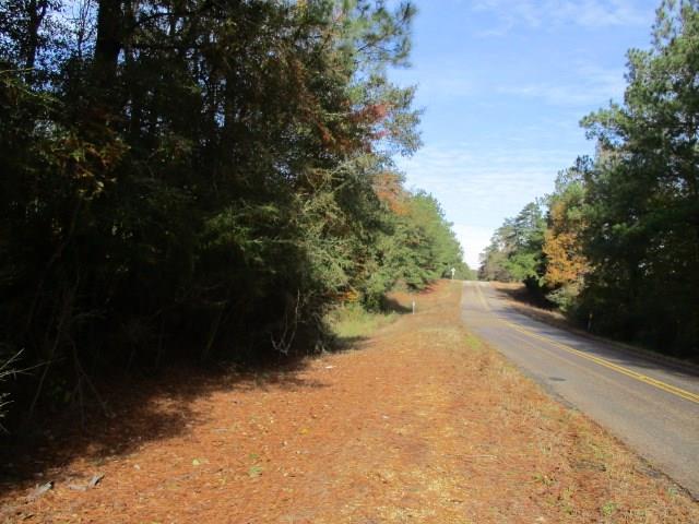 31255 Hwy 450 Highway - Photo 1