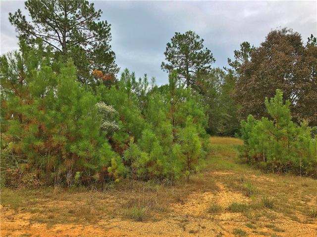 Lot 21 Sweet Olive Place - Photo 1