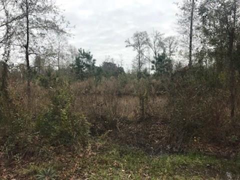 27505 Easley Road - Photo 1
