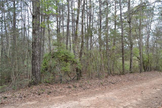 22694 Dewey Creel Road - Photo 1