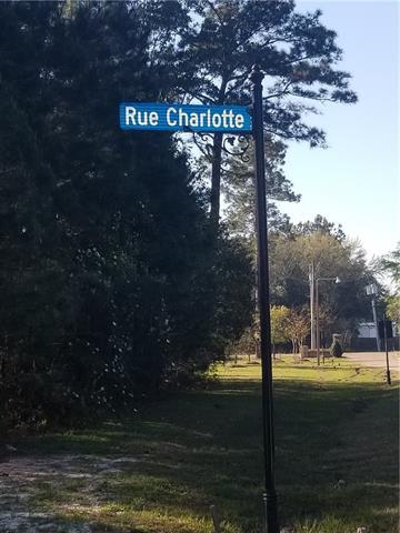 Rue Charlotte Road - Photo 1