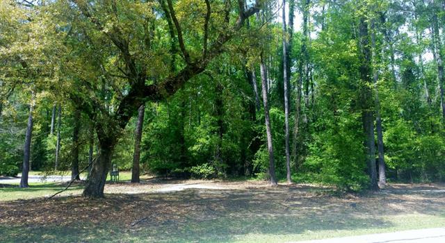 LOT 6 Mattingly Lane - Photo 1
