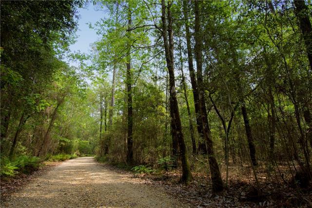 Lot 12 Holly Lane - Photo 1