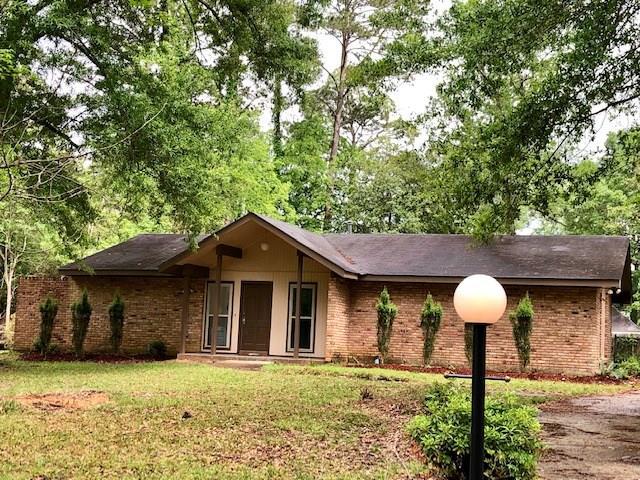 123 Magnolia Drive - Photo 1