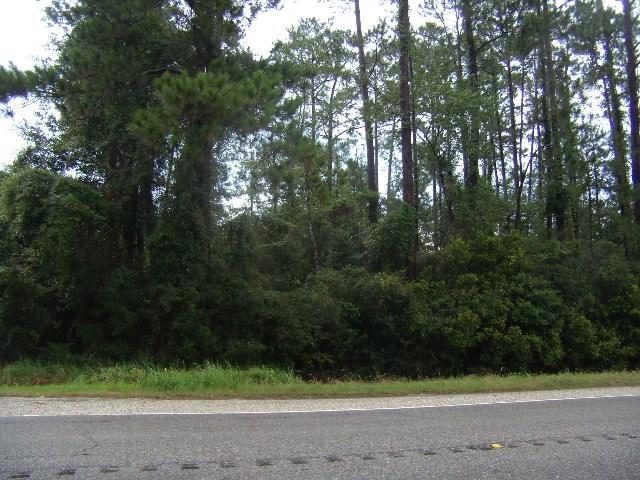 Beverly Drive - Photo 1
