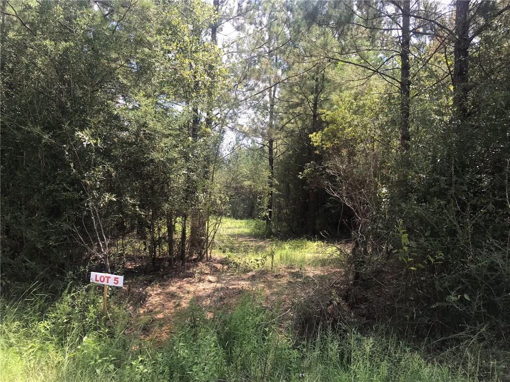 Lot 5 C.E. Stafford Road - Photo 1