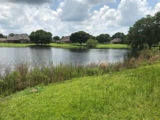 Blue Heron Lot 229 Drive - Photo 1