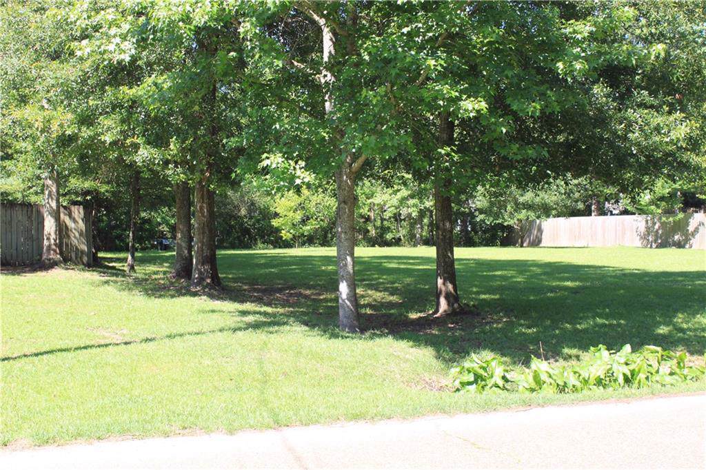 82 Cusachs Drive - Photo 1