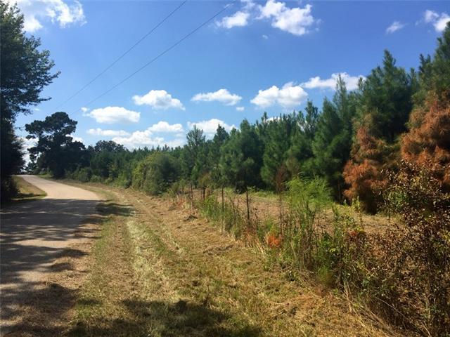 Lot 4 Mt Pisgah Road - Photo 1