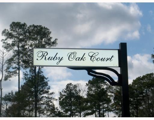 47165 Ruby Oak Court - Photo 1