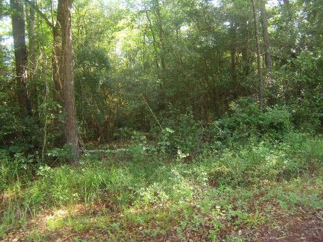 Beverly Drive - Photo 1