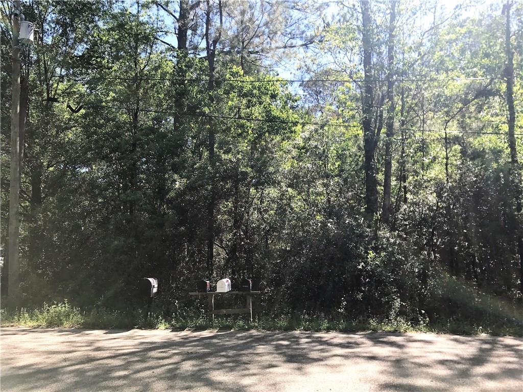 Lot 1 Authement Drive - Photo 1