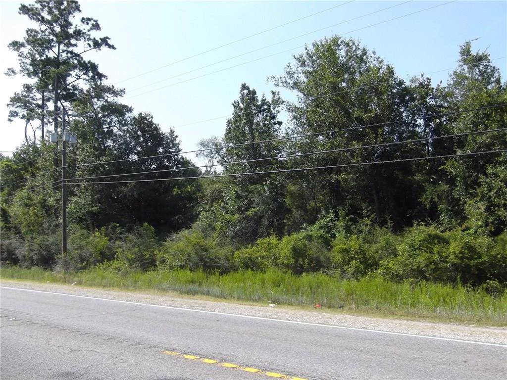 Hwy 190 Highway - Photo 1