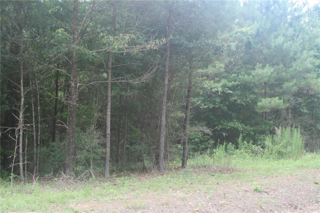 27246 Snowcreek Road - Photo 1