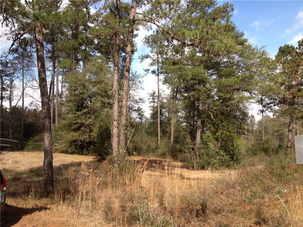 Isabel Swamp Road - Photo 1