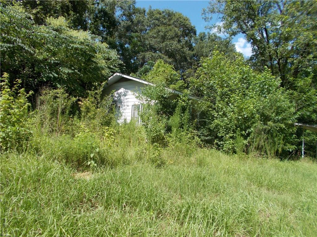 40561 Frank Bahm Road - Photo 1
