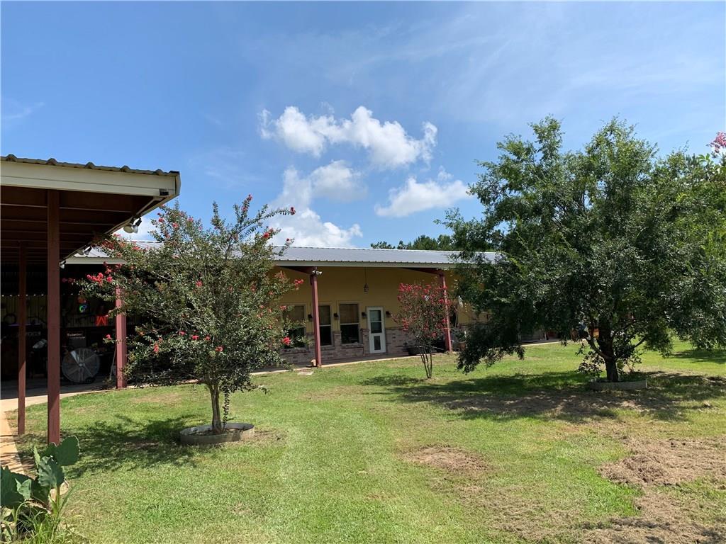 28223 Morning Star Lane - Photo 1