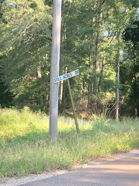 Still Acres Drive - Photo 1