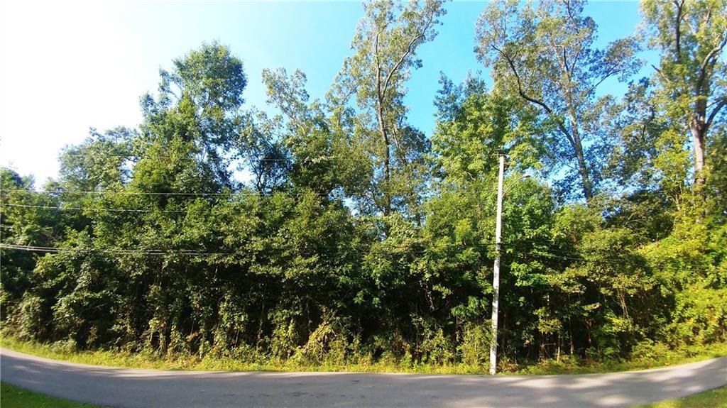 1536 Madison Street - Photo 1